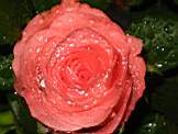 0_55fd_70d9f95e_XL.jpg