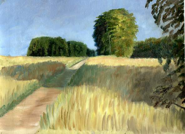 Field road