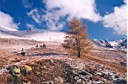 Scan0026.JPG