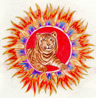 tigr