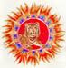 tigr