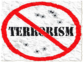 : Противодействие экстремизму и терроризму